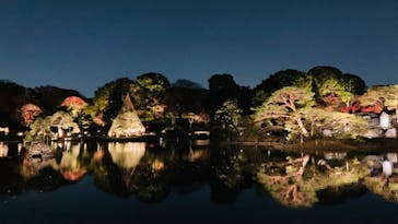 六義園に投稿された画像（2023/11/29）