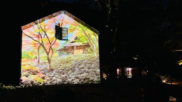 六義園に投稿された画像（2023/11/29）