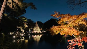六義園に投稿された画像（2023/11/29）