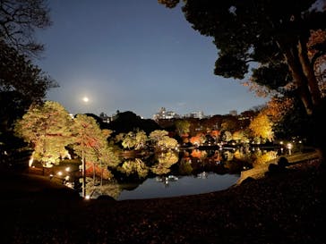 六義園に投稿された画像（2023/11/29）