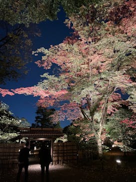 六義園に投稿された画像（2023/11/29）