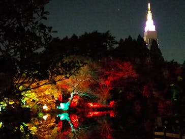 NAKED 紅葉の新宿御苑2023に投稿された画像（2023/11/29）