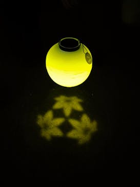 NAKED 紅葉の新宿御苑2023に投稿された画像（2023/11/29）