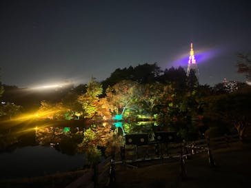 NAKED 紅葉の新宿御苑2023に投稿された画像（2023/11/29）