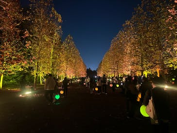 NAKED 紅葉の新宿御苑2023に投稿された画像（2023/11/29）