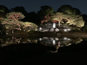 六義園に投稿された画像（2023/11/29）