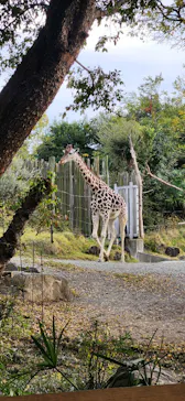 天王寺動物園に投稿された画像（2023/11/29）