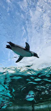 天王寺動物園に投稿された画像（2023/11/29）