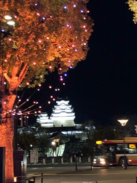 姫路城（イベント）に投稿された画像（2023/11/29）
