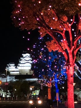 姫路城（イベント）に投稿された画像（2023/11/29）
