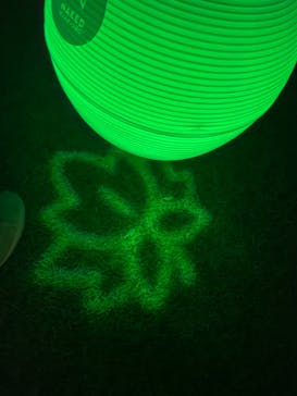 NAKED 紅葉の新宿御苑2023に投稿された画像（2023/11/29）