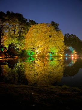 NAKED 紅葉の新宿御苑2023に投稿された画像（2023/11/29）