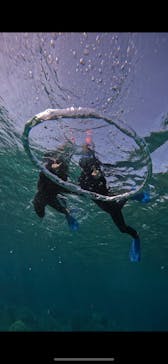 宮古島 ADVENTURE PiPi（ミヤコジマ アドベンチャー ピピ）に投稿された画像（2023/11/29）