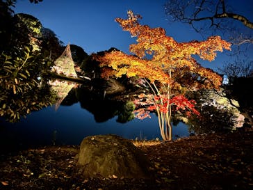 六義園に投稿された画像（2023/11/29）