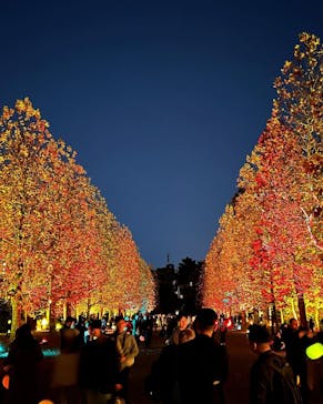 NAKED 紅葉の新宿御苑2023に投稿された画像（2023/11/29）