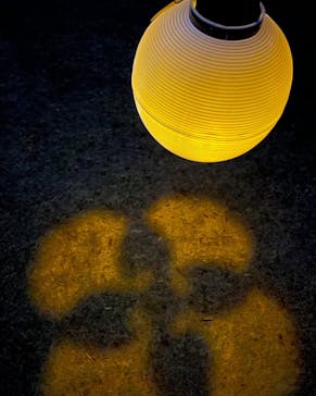 NAKED 紅葉の新宿御苑2023に投稿された画像（2023/11/29）