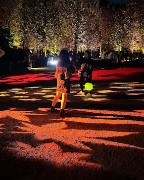 NAKED 紅葉の新宿御苑2023に投稿された画像（2023/11/29）