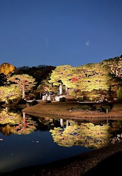 六義園に投稿された画像（2023/11/29）