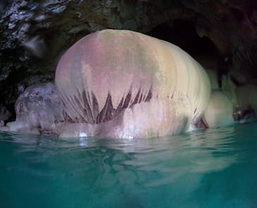 宮古島 ADVENTURE PiPi（ミヤコジマ アドベンチャー ピピ）に投稿された画像（2023/11/29）