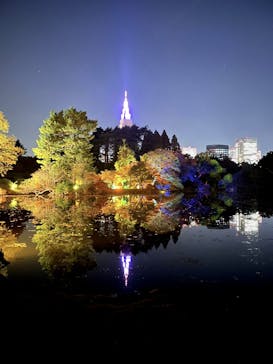 NAKED 紅葉の新宿御苑2023に投稿された画像（2023/11/29）