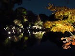 六義園に投稿された画像（2023/11/29）