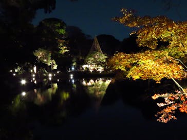 六義園に投稿された画像（2023/11/29）