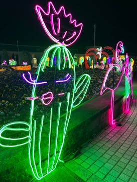 神戸イルミナージュに投稿された画像（2023/11/29）