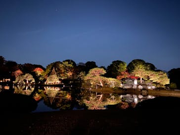 六義園に投稿された画像（2023/11/29）