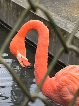 熱川バナナワニ園に投稿された画像（2023/11/29）