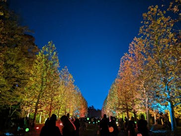 NAKED 紅葉の新宿御苑2023に投稿された画像（2023/11/29）