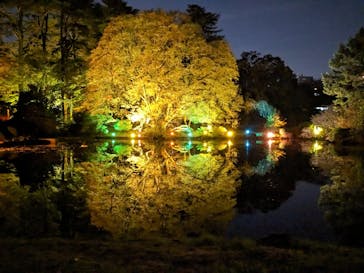 NAKED 紅葉の新宿御苑2023に投稿された画像（2023/11/29）