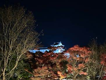 姫路城（イベント）に投稿された画像（2023/11/29）