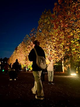 NAKED 紅葉の新宿御苑2023に投稿された画像（2023/11/29）