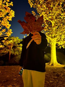 NAKED 紅葉の新宿御苑2023に投稿された画像（2023/11/29）