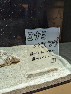 横浜開運水族館 フォーチュンアクアリウムに投稿された画像（2023/11/29）
