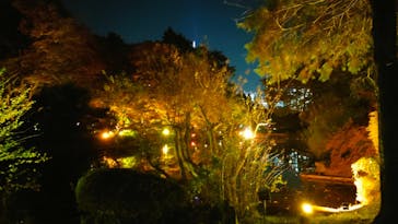 NAKED 紅葉の新宿御苑2023に投稿された画像（2023/11/29）