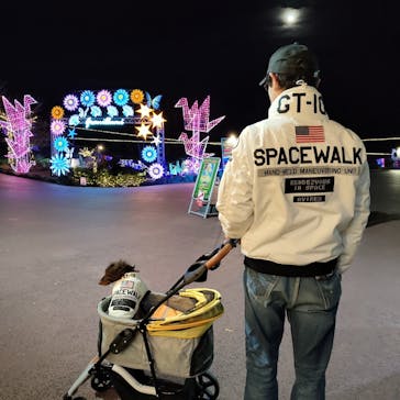 伊豆ぐらんぱる公園に投稿された画像（2023/11/29）