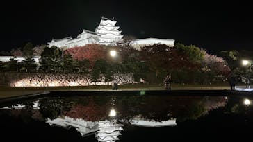姫路城（イベント）に投稿された画像（2023/11/29）