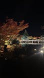 国営昭和記念公園 秋の夜散歩に投稿された画像（2023/11/30）
