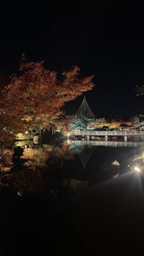 国営昭和記念公園 秋の夜散歩に投稿された画像（2023/11/29）