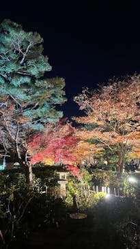 国営昭和記念公園 秋の夜散歩に投稿された画像（2023/11/29）