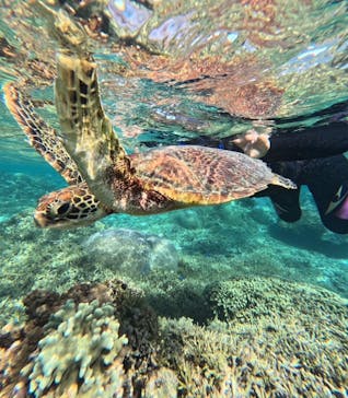 宮古島 ADVENTURE PiPi（ミヤコジマ アドベンチャー ピピ）に投稿された画像（2023/11/30）