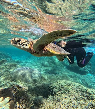 宮古島 ADVENTURE PiPi（ミヤコジマ アドベンチャー ピピ）に投稿された画像（2023/11/30）