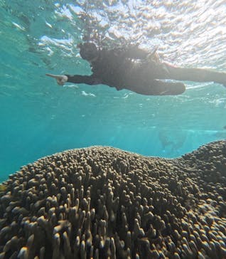 宮古島 ADVENTURE PiPi（ミヤコジマ アドベンチャー ピピ）に投稿された画像（2023/11/30）