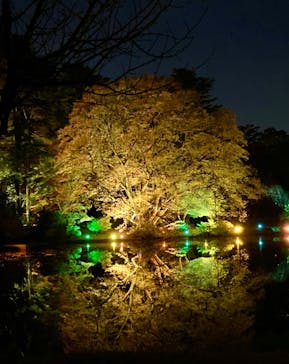 NAKED 紅葉の新宿御苑2023に投稿された画像（2023/11/30）