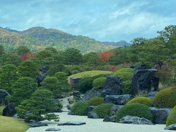 足立美術館に投稿された画像（2023/11/30）