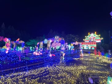 伊豆ぐらんぱる公園に投稿された画像（2023/11/30）