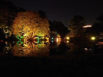 NAKED 紅葉の新宿御苑2023に投稿された画像（2023/11/30）