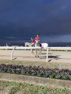 東京メガイルミに投稿された画像（2023/11/30）