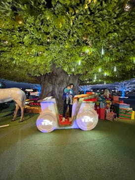 東京メガイルミに投稿された画像（2023/11/30）